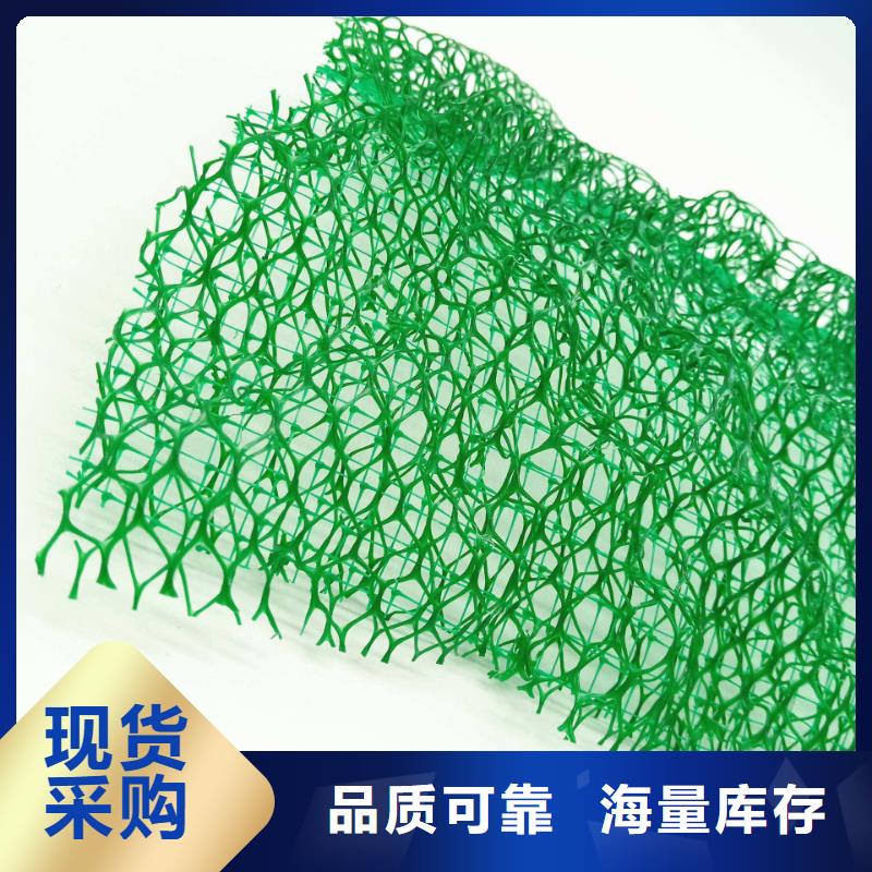 三维植被网与排水板 符合标准的生态环境材料应用与发展